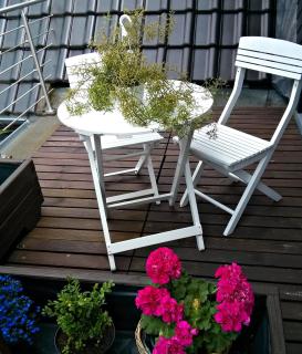 Fewo Lüheblick im Haus Lühegarten - Grünendeich - 3