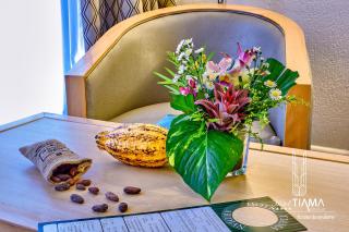 Hotel Tiama Abidjan - 1