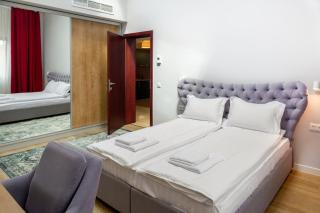 H11 Downtown Apartments - Târgu-Mureş - 1