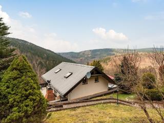 Holiday home in Unterschצnau - Unterschönau - 0
