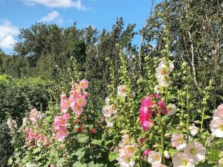 Two-Bedroom Holiday home in Aabenraa 2 - Aabenraa - 5