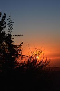 Soha Village Resort - 9