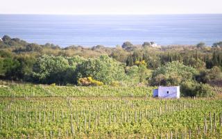 MASIA BARTOMEU Rural house between vineyards 2km from the beach - El Vendrell - 4