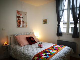 NICE APPARTEMENT - Amboise - 5