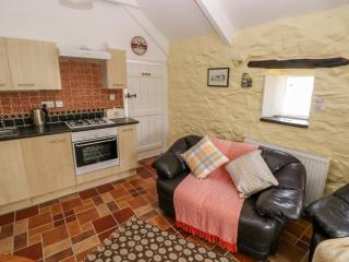 Ffynnon Tom - Trevine - 3