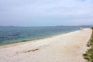 Apartments by the sea Bibinje, Zadar - 5786 - Bibinje - 8