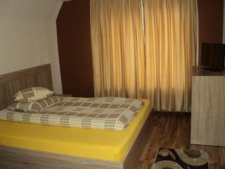 Cabana Suvenirurilor - Scărişoara - 9