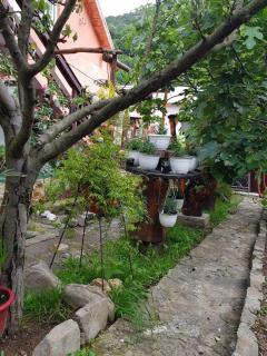 Pensiunea Casa montana - Sasca Montană - 3