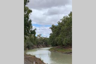 Wallies Cottage On The Darling - 0