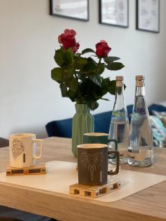 Apartament Biłgoraj, Roztocze, Raj dla rowerzystów - Biłgoraj - 3
