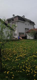 Guesthouse Jelic - 9