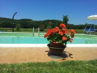 Agriturismo Sant Anna Quarter Horse - 1