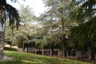B&B Europa - Potenza - 0
