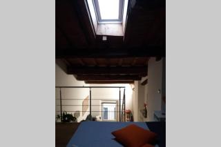 Fiordiloto57 - Mantua - 3