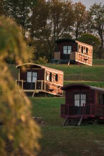 Domaine d'Escapa - 7