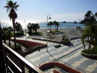 CENTRO-PRIMERA LINEA DE PLAYA - Almuñécar - 0