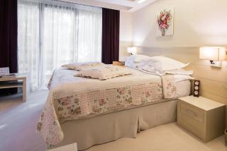 Ioana Boutique Hotel - Sinaia - 3