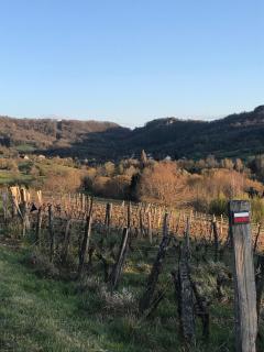 Golf Val de Sorne Vernantois Maison vigneronne - Vernantois - 5