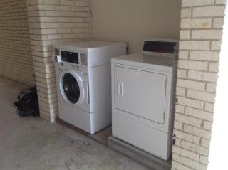 Best Western Regency Inn & Suites - Gonzales - 8