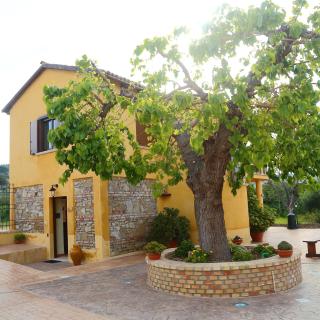 Al Grande Gelso - Cariati - 6