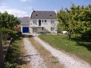 agapanthe - Crozon - 0