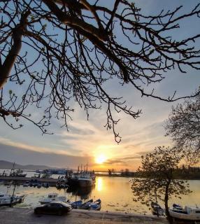 Guest House Fotini 2 - Sozopol - 9