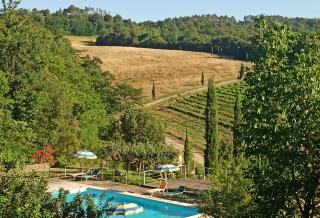 Agriturismo San Bernardino Del Lago - Rapolano Terme - 0
