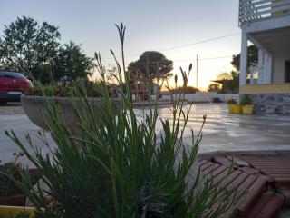 B&B IRIS COTTAGE - 0