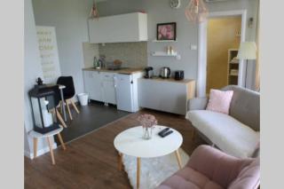 Villa Danube , 25 min from Belgrade, 20 min Airport, Private Pool & Sauna - 4