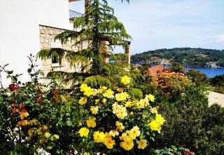 Apartments Kaić - 2