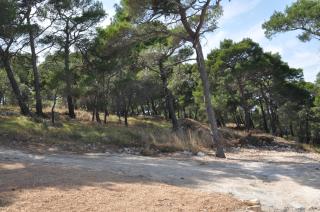 Design apartment 2ˇˇˇˇ - 6