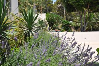 Design apartment 2ˇˇˇˇ - Mali Lošinj - 5