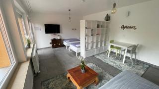 Messeapartment Dutzendteich - Nuremberg - 9