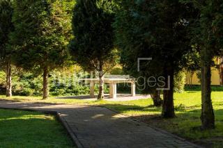 Ferienwohnung 6, Waldesruh Dierhagen - 8