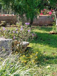 Tenuta Palummaru - Tricase - 5