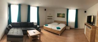 Ferienwohnung „Gmünder Hof“ - Gmünd - 9