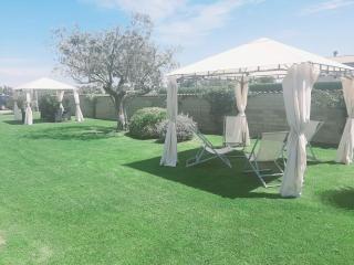 Elegance B&B - Ladispoli - 4