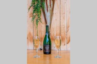 L'OASIS DU MASSIF - Spa, BBQ, foyer et plaisir ! - Saint-Paul-de-Montminy - 2