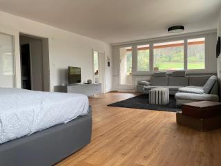 Skyloft Apartment Feldkirch - Feldkirch - 4