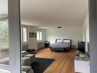 Skyloft Apartment Feldkirch - Feldkirch - 7