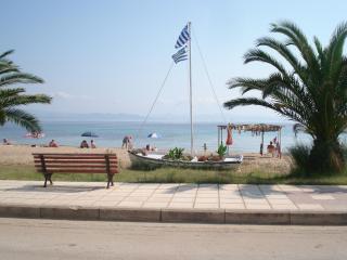 Haus Niko Apartments and Suites - Nea Potidaea - 5