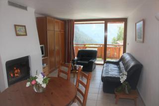 Chalet Bouquetin- Hermine 2 to 4 people - Champagny-en-Vanoise - 0