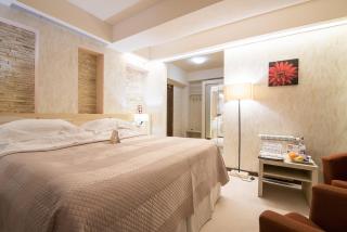 Ioana Boutique Hotel - Sinaia - 4