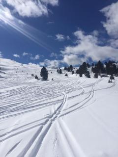 Piccola Cesa Apartments - 2