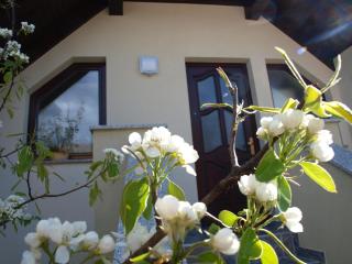 Apartment Knap - Cerknica - 3