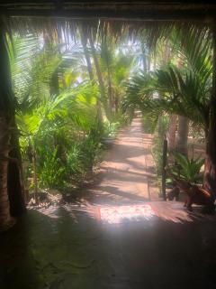 Salus house - Malindi - 4