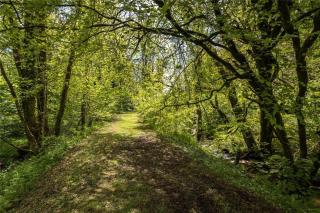 Pembrokeshire Yurts - Badger - Llanfyrnach - 6