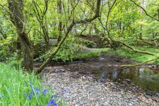 Pembrokeshire Yurts - Badger - Llanfyrnach - 5