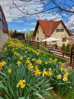 Apartament Matei - Braşov - 0