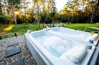 Dorrigo Bush Pepper Retreat - Deer Vale - 7